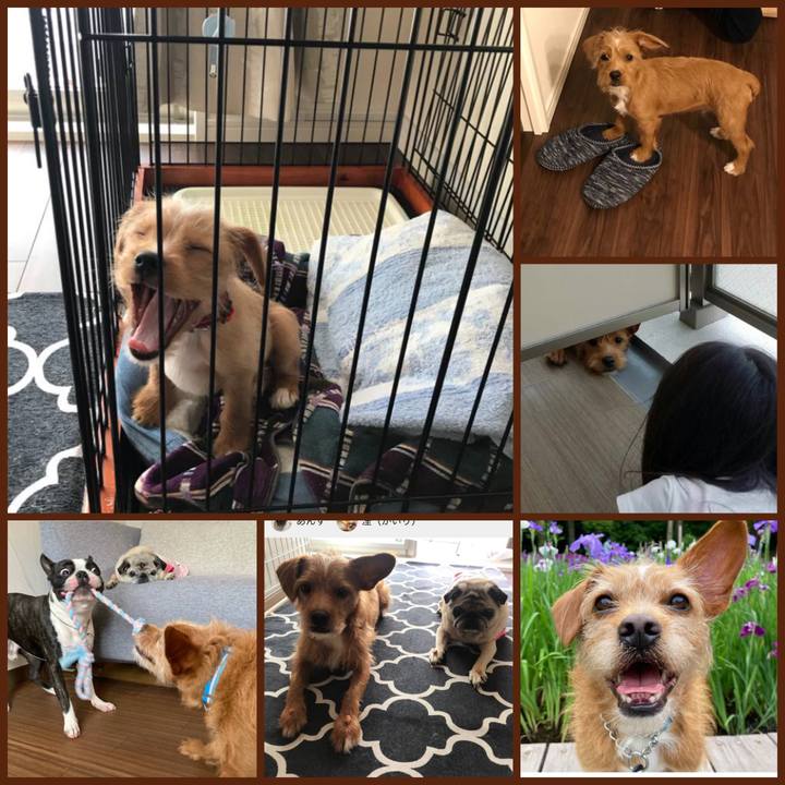 51fed97c 0197 433b 985a 1599374fca3c 1635560111207