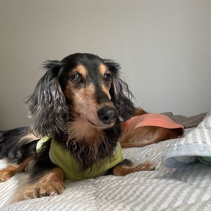 51fef7bf d82f 48be 8148 d87f15f711b3 1699019504510