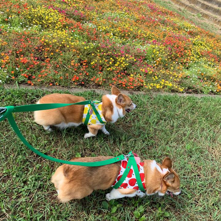 51ff4761 0f6d 4e4e 927a d2d931d8972f 1570426537917