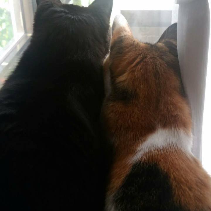 51ff4abb dcd4 40cb a5b6 9ee8eb3a9cb4 1615031964798