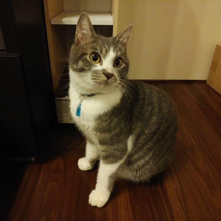 51ff9d9d 44a3 47d5 b142 d3ee7d37f4a8 1578395054858