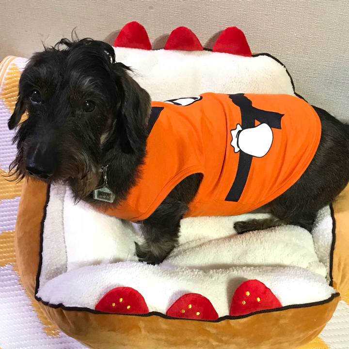 51ffb275 ff94 4760 8af3 647a815cd2ac 1514120310054