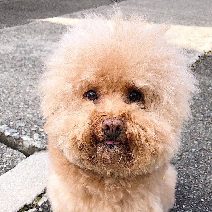 51ffbd79 25fd 4d17 8033 4d5562b012c9 1550294119822