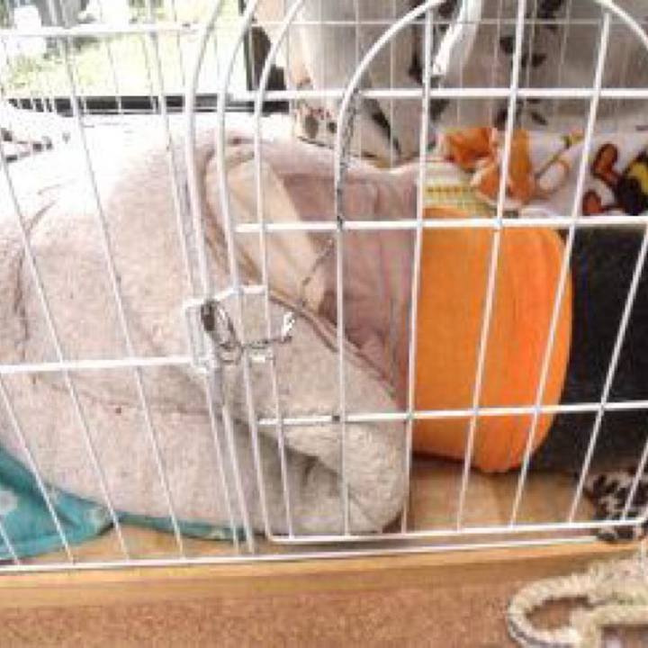 51ffbe7a 6ed8 4eeb baa0 fecbbe7d39c4 1726177352338