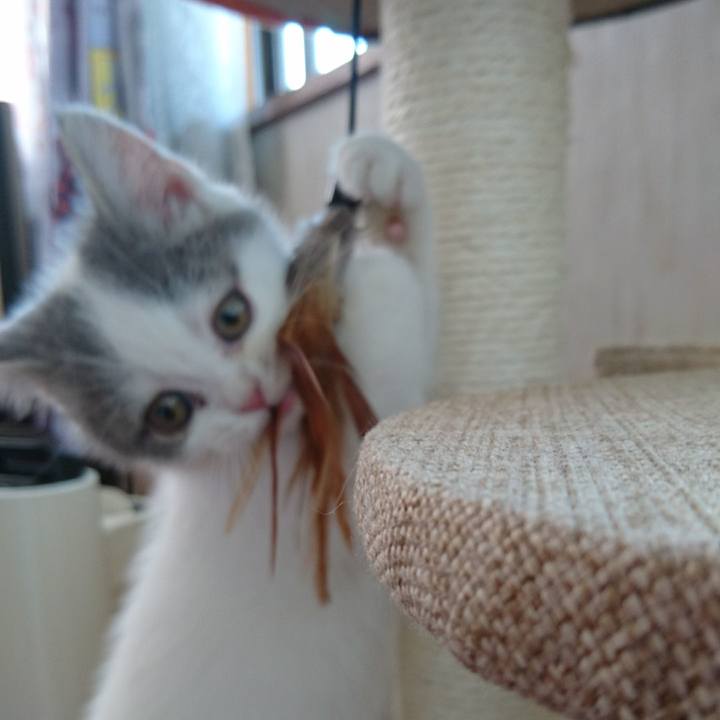 51ffc5de 2d12 4727 bbf6 5271d23bdc52 1527209229684