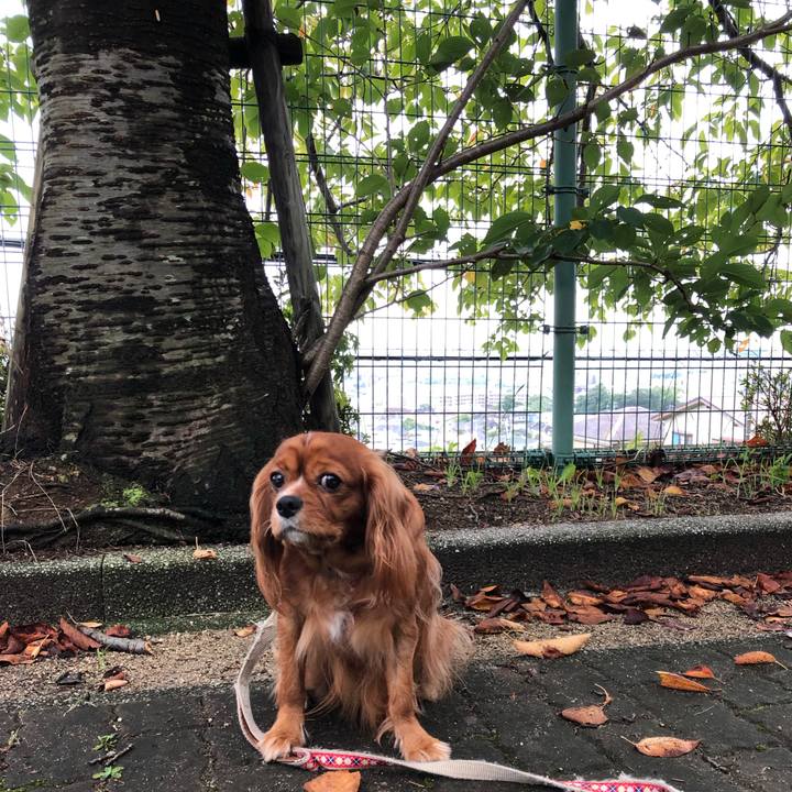 520003ba c8f2 4265 bbd9 f3b2bcc92fbc 1569036268763