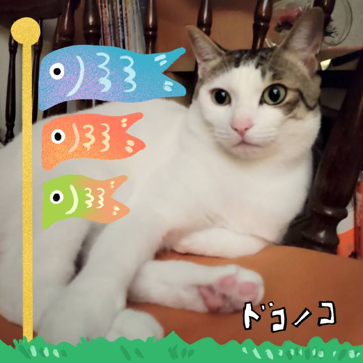 52002a6a be1a 45ec 8e92 fc334d433c41 1714914039958