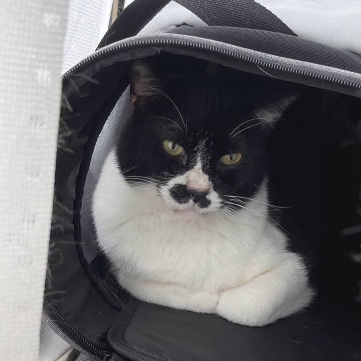 52005e07 b648 4c3e bf37 9f9b0b736b1d 1687175391671