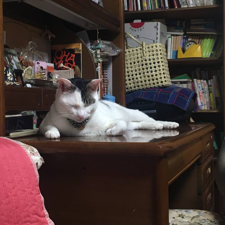 5200784c 16f3 4190 90f6 b28356ce3281 1525387644882