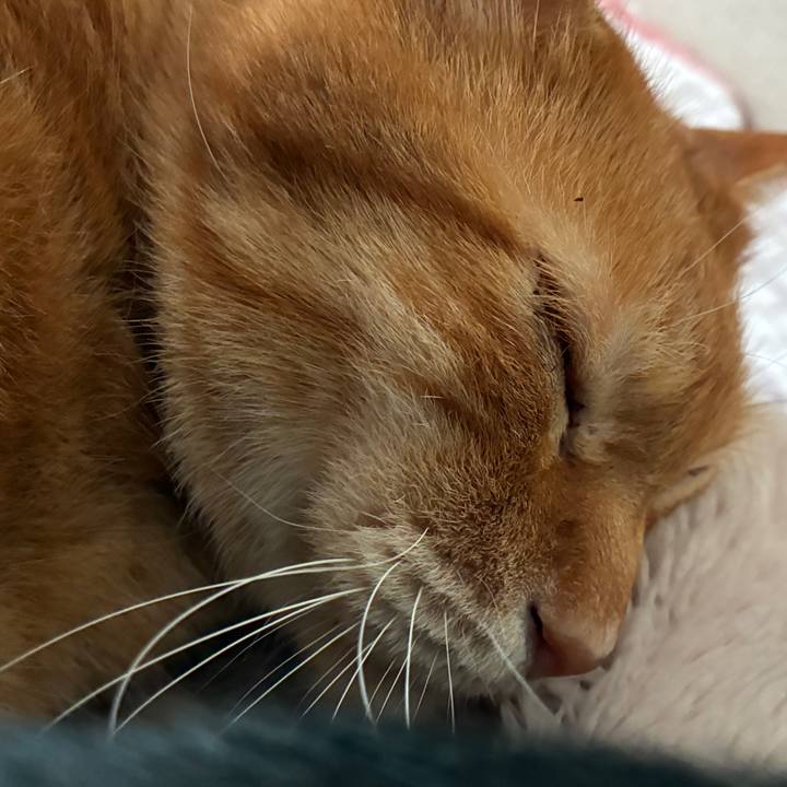 5200a04a f249 427d bbb4 82e5cf1bcc35 1769816254598