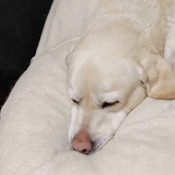 5200bcd6 e118 40b1 a9b1 780376e8da42 1710909310044