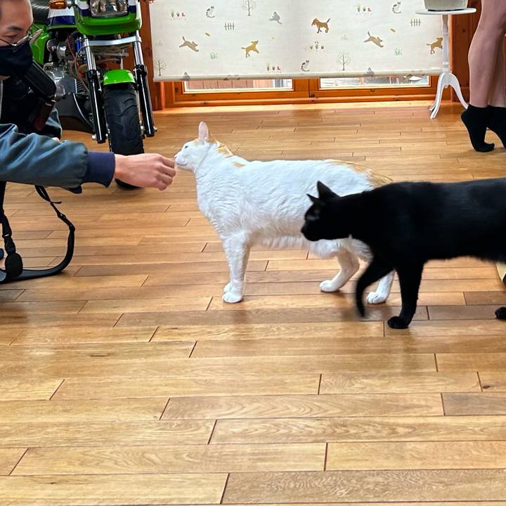 5200dd94 12f5 4790 9cab 40f0f8cc2123 1670743335304