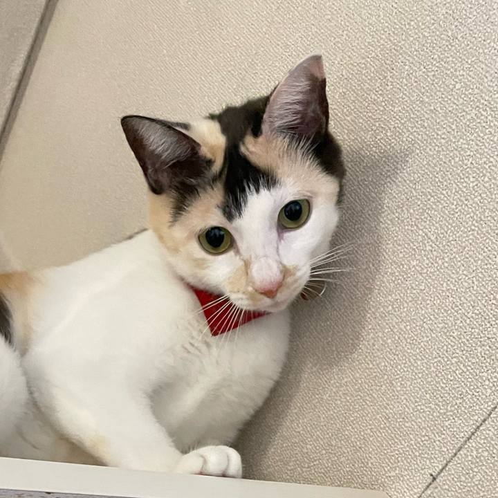 5200e55b fec6 4d8b af20 3d67bf460bc8 1702039700151