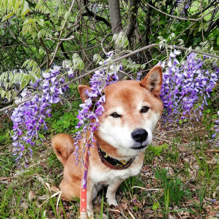 5200e747 fed8 4866 9cc2 6045197bac90 1618727773147