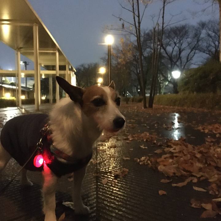 5200ef47 bb5a 42d2 827f 24cb85ddbdba 1575800909473