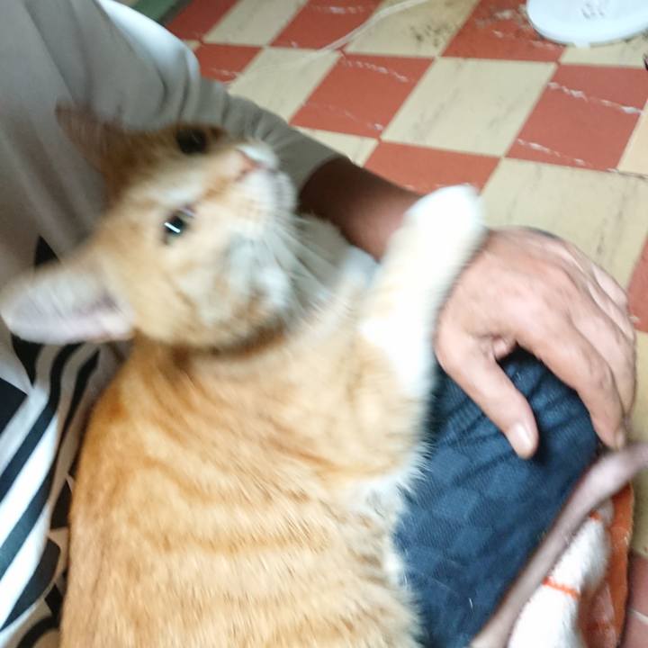 5200f7a5 a4c9 44af 95bc b8fe929c3565 1596830266306