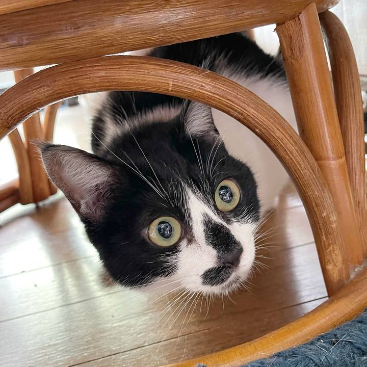 52023479 af88 4a15 8ec5 ed312927f095 1765587522768