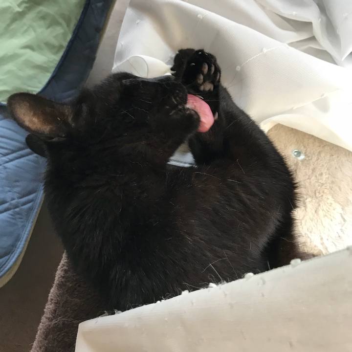 52028a83 8a9b 4267 a487 4db156491d1f 1527989998472