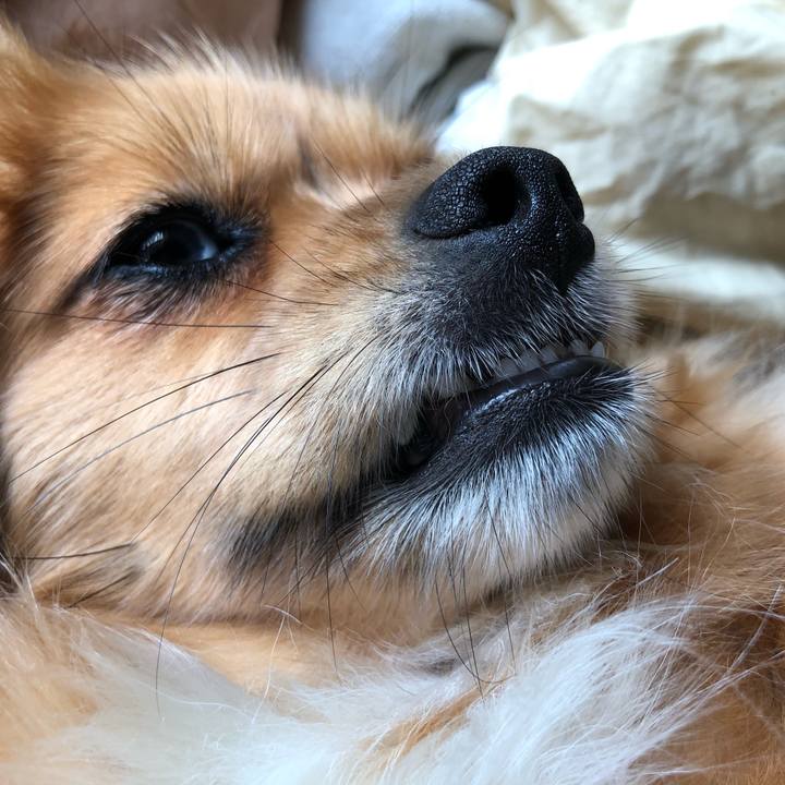 52028bf3 ebd6 4566 b979 8feea2b29535 1561796972949