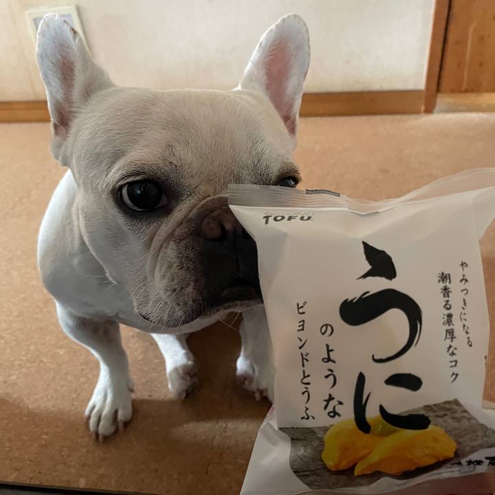 5202d9d1 02b4 4937 9703 26e23df8e9d8 1750028498312