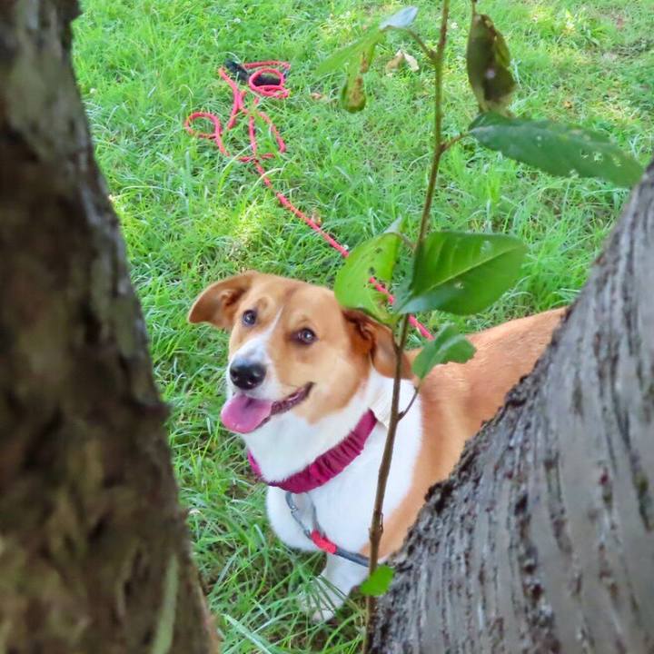 5202ff34 2e24 4765 8dea 994f114e2e05 1627341393443