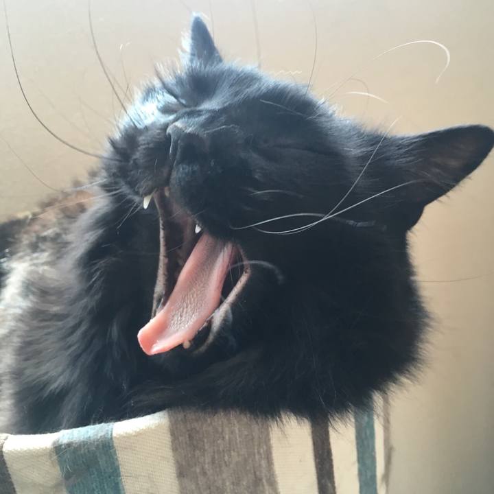 520300ee 7e25 4bb6 b4b1 8cdf9f27adec 1529987894330