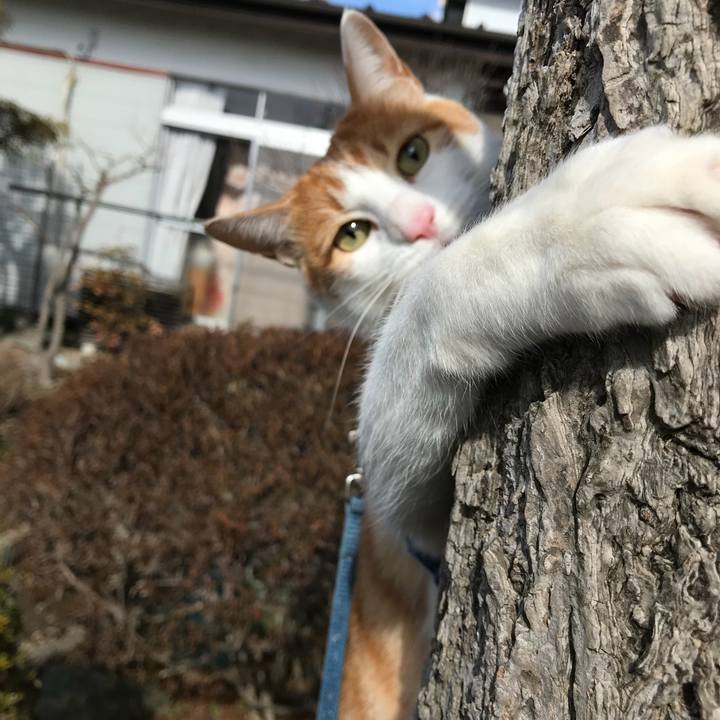 5203733e 15bb 40c3 83b0 d07a2af8f1cb 1519010506175