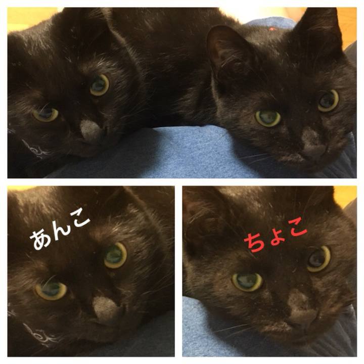 52037d98 b99c 49d2 b339 07bfd02094b4 1536761433724