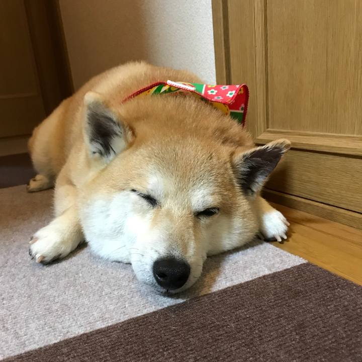 520393d6 7382 42f3 b9b3 5f4992e5c397 1524576516966