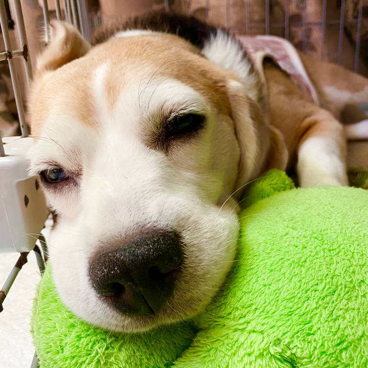 5203af05 1904 4d08 94ae 55d768bddac8 1597204677766