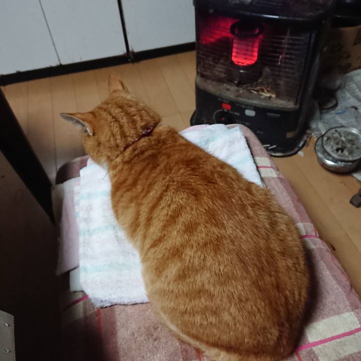 5203b052 dce0 4623 8b24 c4e3c79ee50e 1602103877404