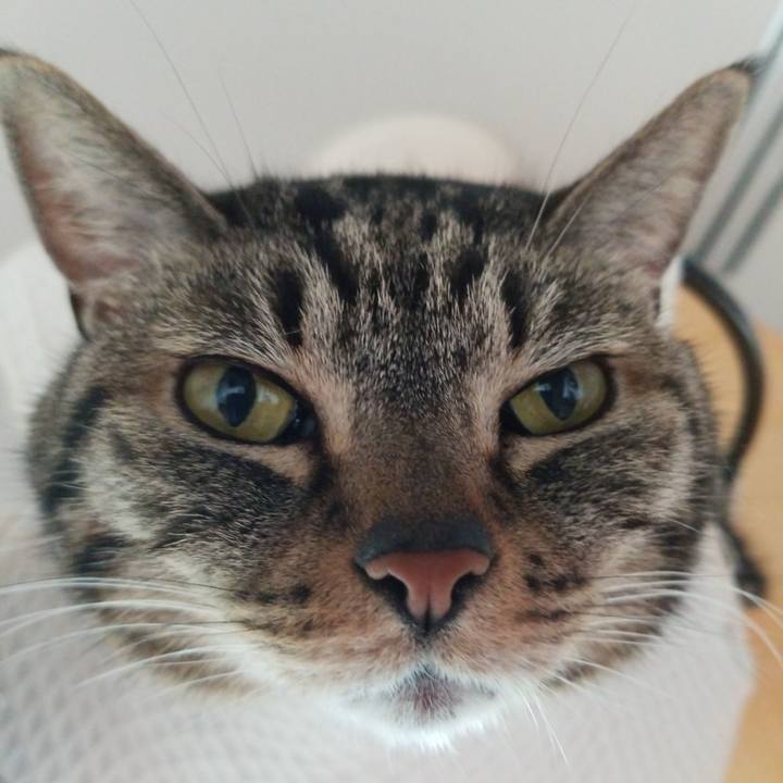 520436c5 7752 43a8 b460 7b39e43a3ad9 1595635440393