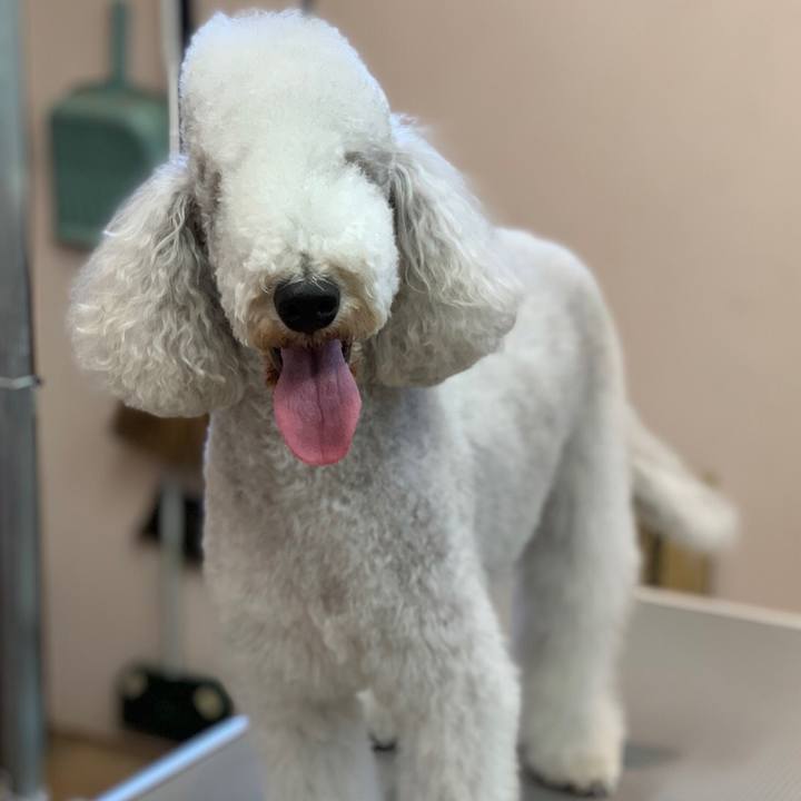 52044fd8 79fc 49a0 8171 fd1a28f9eacf 1655024148790