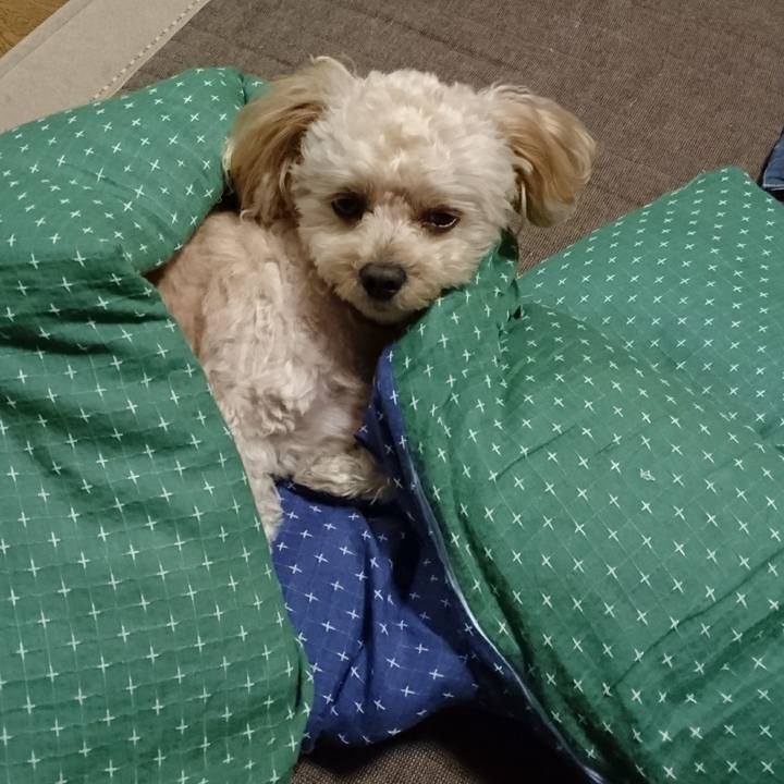 520455bc 53e9 4ad0 8f27 0c09fa00e738 1537618667382