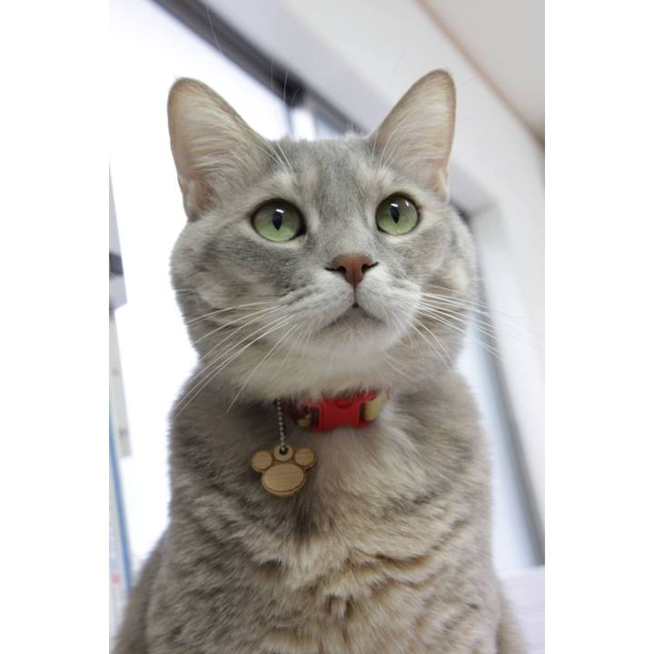 52046268 d0b7 498c 820f c1d56b9ddd3a 1608091614908