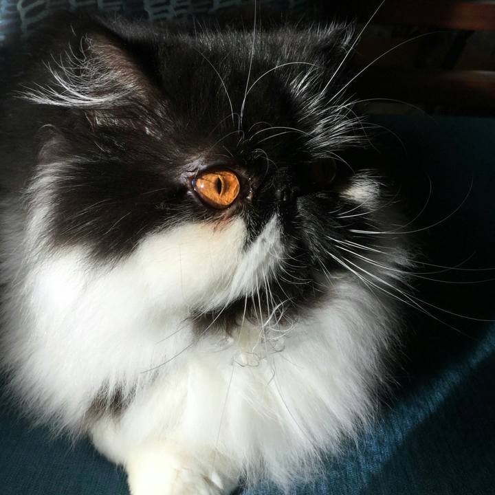 52046aa4 ccd8 4f86 bcc4 6b9c1483b7da 1513081195424