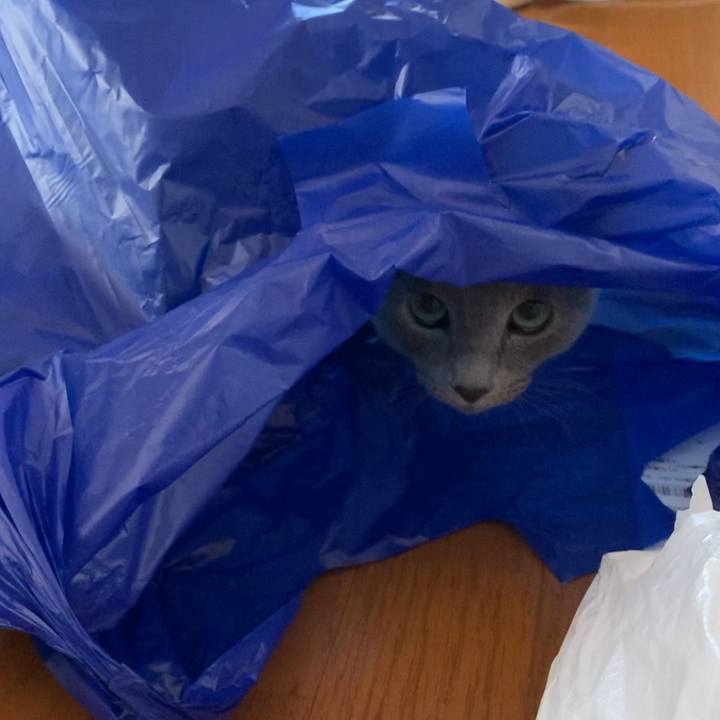 52048670 8e54 462c b58e ef09f7c159b4 1578296311181