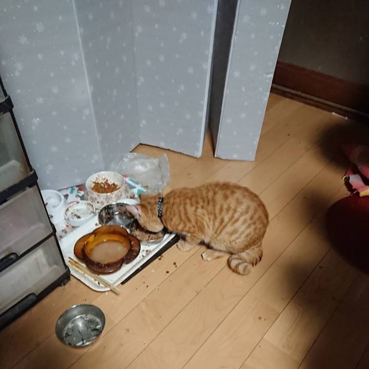 52049ebe d67a 4e1e 9941 c85b44baed95 1639514692739