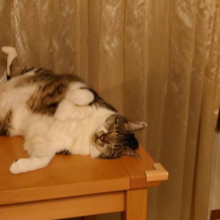 5204a409 9a0f 48e3 8b96 0801b6293b94 1689592585415