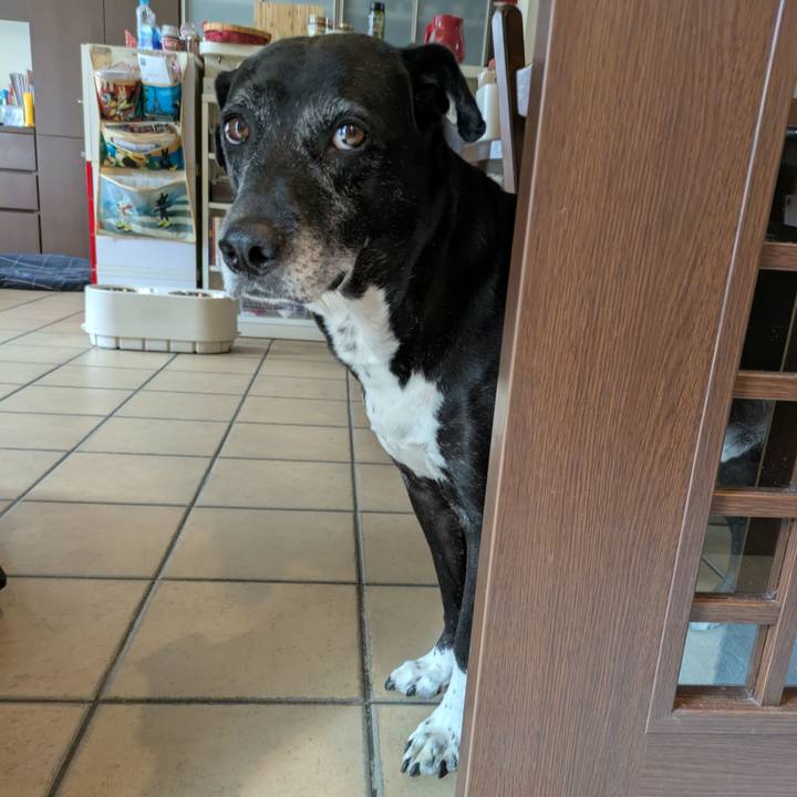 5204ef05 a34e 4f20 9620 53f6ae15291d 1759906213910