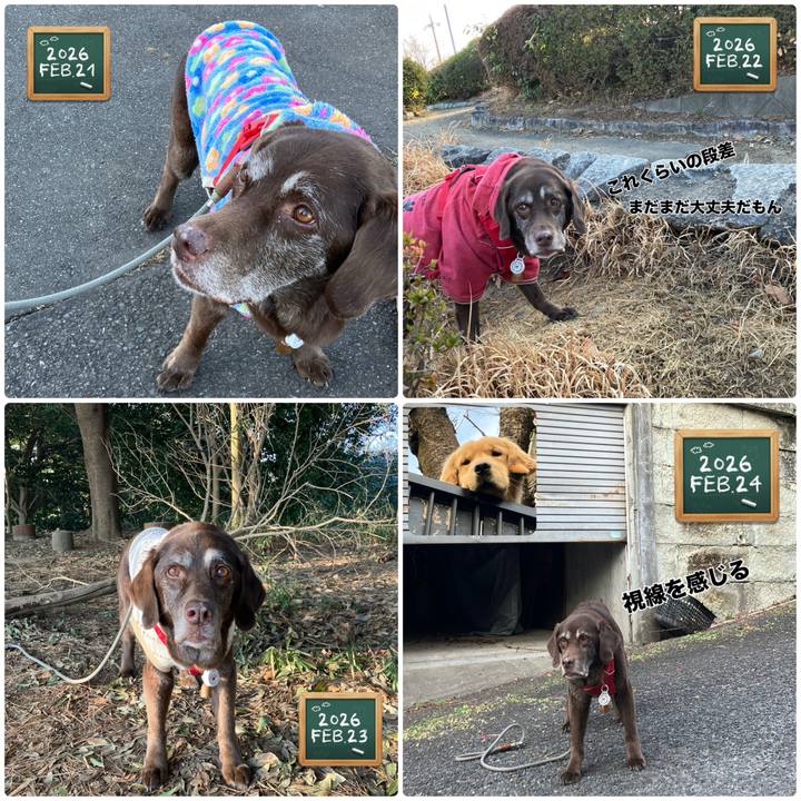 52050ad6 1f80 4d93 96b3 5c02ea750606 1772094288801