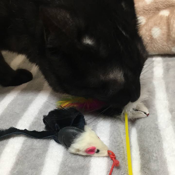 52052167 a62c 4439 ad5f 20543448366c 1558970881168