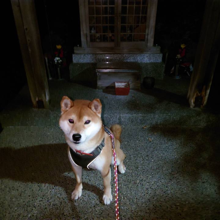 52056127 ae5a 4896 b74a 27abc0f83620 1767313334750