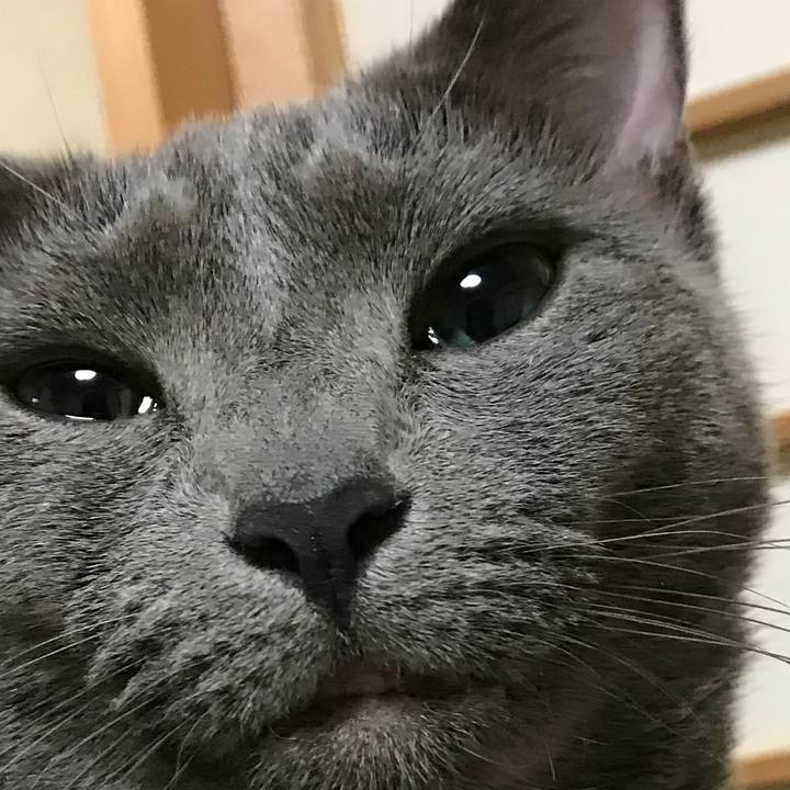 5205b5df 0c86 479d bf7b c2d3eda43145 1534579778804