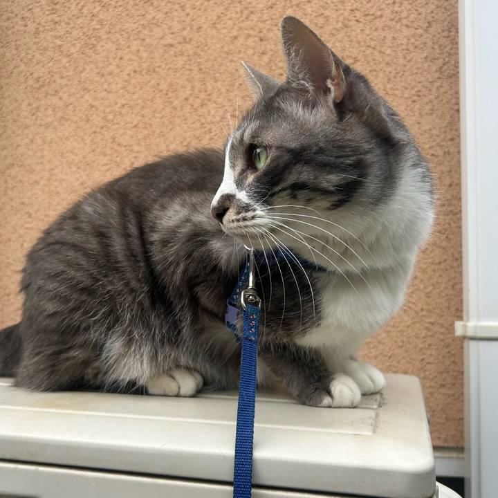 5205dfce ee8a 4313 a9fa 6db7a6fe5709 1776504223145