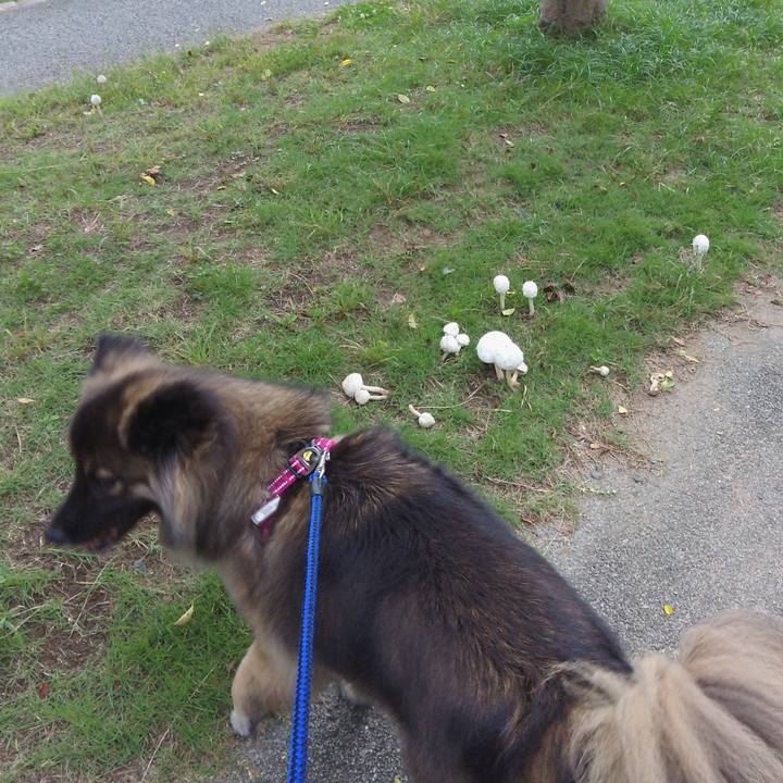 5205fde2 4848 4eec 9e18 6fabf4682e5e 1759902602391