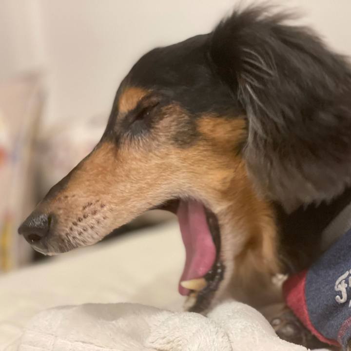 520615b2 a979 46a7 9215 c1d5c7477630 1634478672500