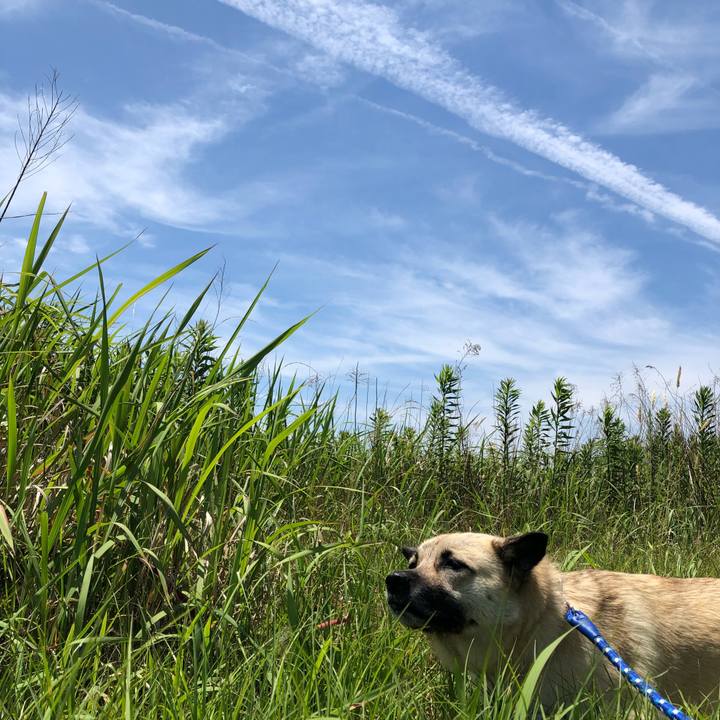 520620da 0df8 4877 80f3 841fb73311da 1529216096392