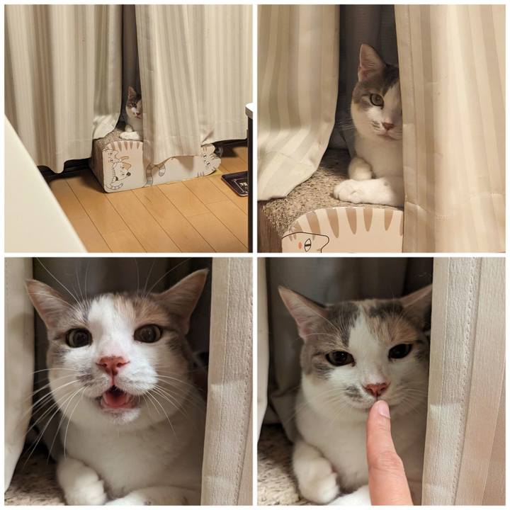 52063b1d 0a4a 468a bdea 21ef183d86e8 1695874555819