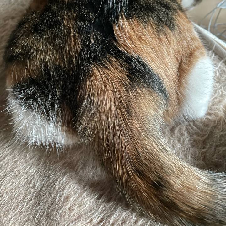 520647ab 95dd 40bd 9abf eca403e9f943 1615709932765